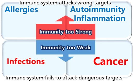 Unbalanced Immune System Leads to Health Problems
